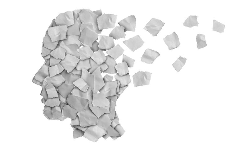 기억력과 인지 기능은 뇌 신경세포 간의 원활한 신호 전달에 의해 유지된다. 노화가 진행되면 뇌세포막 내 포스파티딜세린의 함량이 감소하고 이로 인해 신호 전달 효율이 떨어지면서 기억력과 인지 기능 저하가 나타난다. 게티이미지뱅크