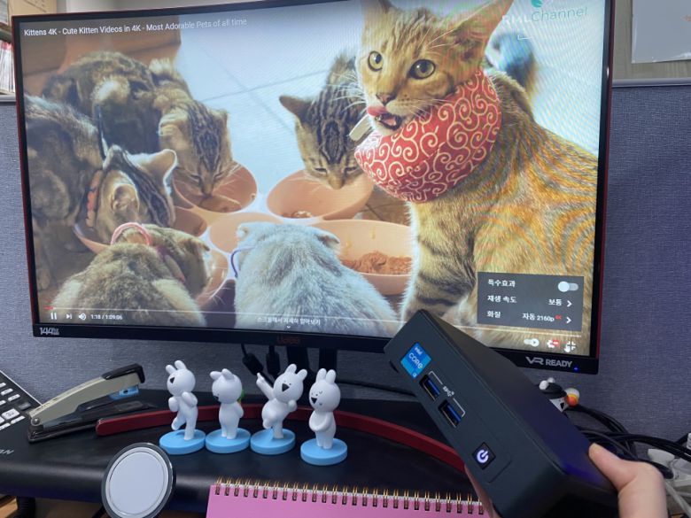 유튜브에서 4K 고양이 영상을 재생해보니 끊김 없이 매끄럽게 감상할 수 있었다.