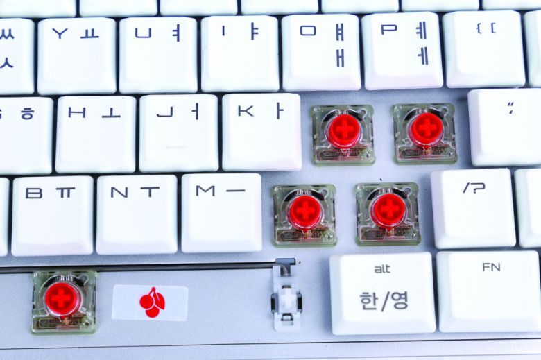 체리 LP 적축 스위치. MX Board 10.0은 스위치가 보강판 외부로 드러나는 비키(Viki) 구조로 키보드 먼지 청소가 용이하고 스위치부의 RGB LED가 더 잘 드러난다. LP 스위치의 특성 상 보강판을 치는 소리도 크게 나지 않는다