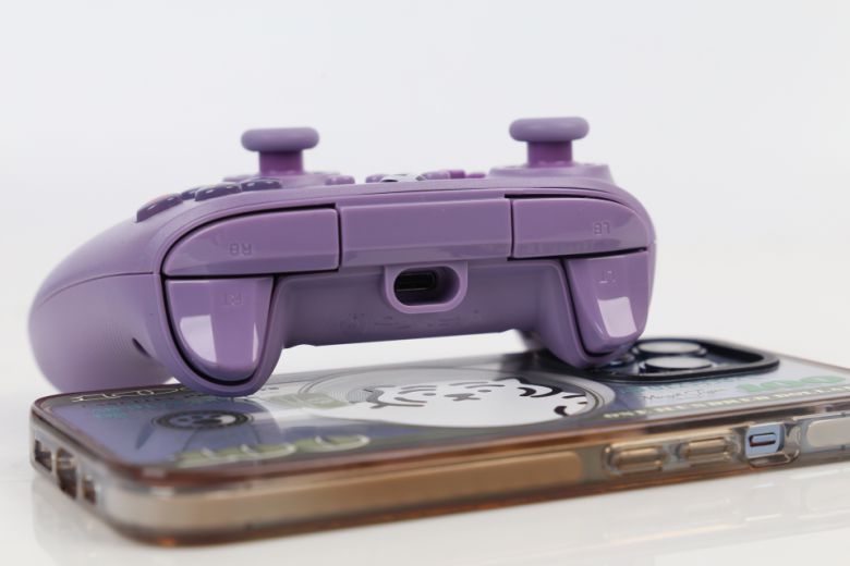 파워A 나노는 USB Type-C 단자가 적용된 게임패드다.