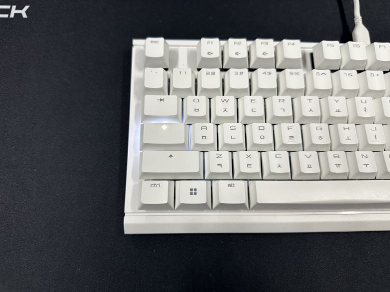 LED의 빛이 키캡을 투과해 보인다.