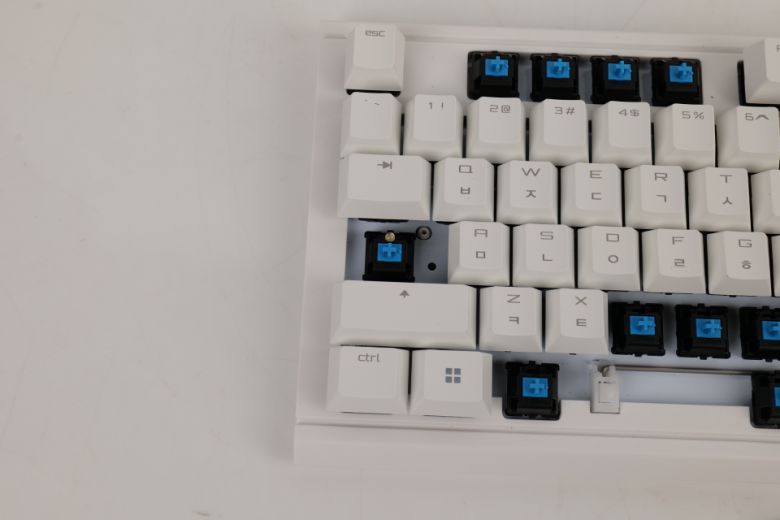 RGB LED는 제공되지 않지만 Caps Lock, Scroll Lock 활성화를 표시하기 위해 해당 키에만 LED가 내장되었다.