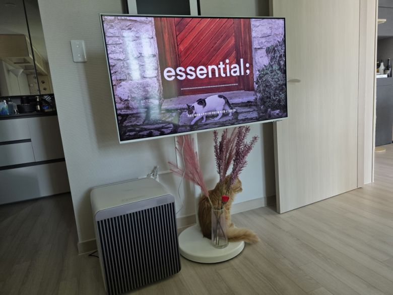 테마에 맞는 음악을 편리하게 감상할 수 있는 음악 큐레이션 앱 ‘에센셜’도 유용했다.