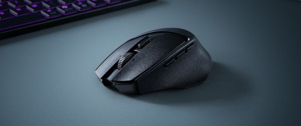 (이미지 출처: 레이저)