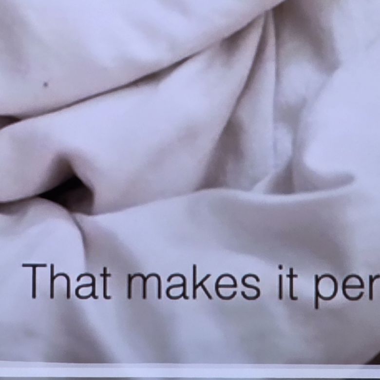 고양이 영상 720p (AI 업스케일링 Pro OFF)