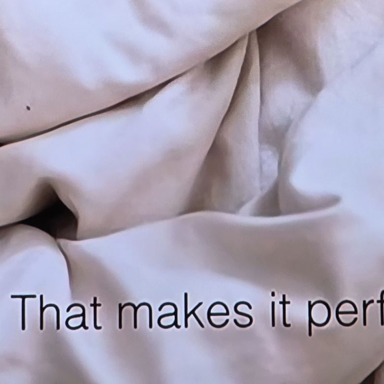 고양이 영상 720p (AI 업스케일링 Pro ON)