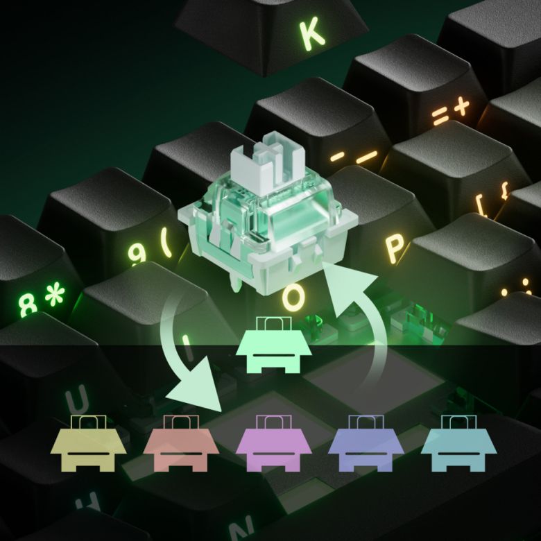 기본 장착된 스위치 외의 타사 자석축 스위치 5종과 호환이 가능하다.