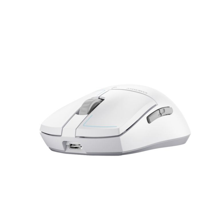 측면에 사이드 버튼 2개가 있고 위에 있는 USB Type-C 단자를 통해 충전할 수 있다.