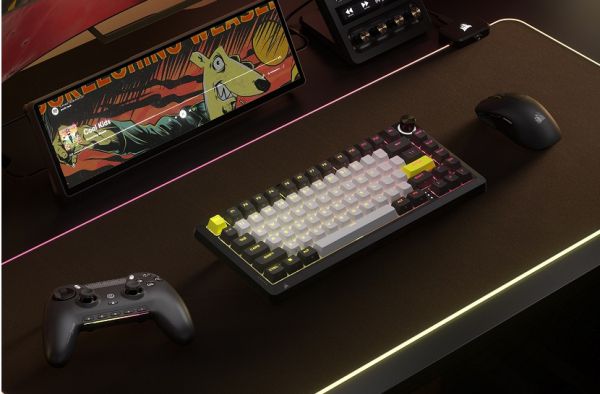 (이미지 출처: 커세어)