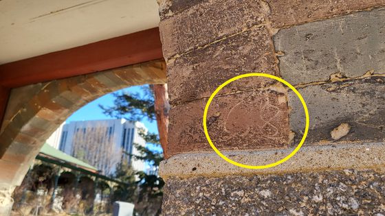 덕수궁 내 담벼락에 새겨진 낙서. 〈사진=이지현 기자〉