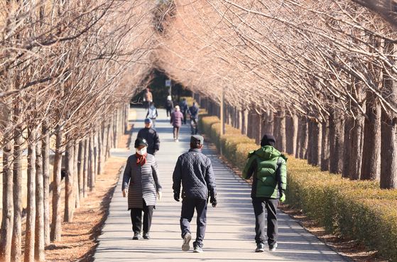 지난 24일 오전 남구 유엔기념공원 내 메타세쿼이아길에서 시민들이 산책하고 있다. 〈사진=연합뉴스〉