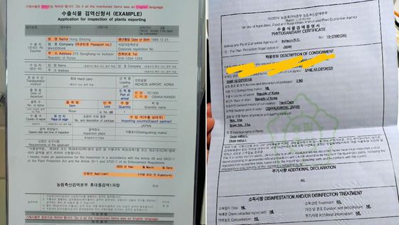 한국에 방문한 일본인 관광객이 일본 여행사이트에 작성한 한국 쌀 구입 후기. 사진은 수출식물검역증명서 샘플(왼쪽)과 실제 작성 서류 〈출처 : 일본 '4travel' 사이트〉