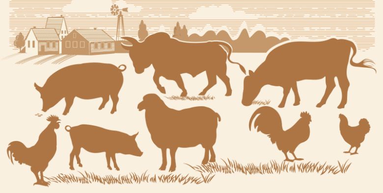 하이에크는 “마음껏 권력을 휘두르고 싶어 하고 권력을 가장 무자비하게 행사하고 싶은 성정을 지닌 자들만이 정치에서 최고의 자리에 오를 수 있다”고 개탄했다.[일러스트=게티이미지뱅크]