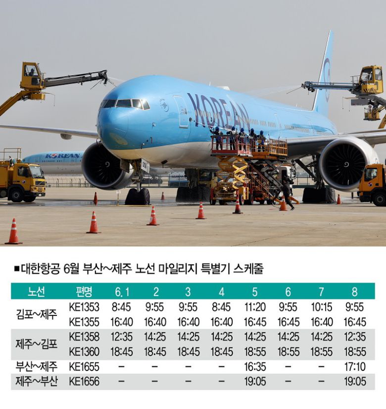 [사진 | 뉴시스]