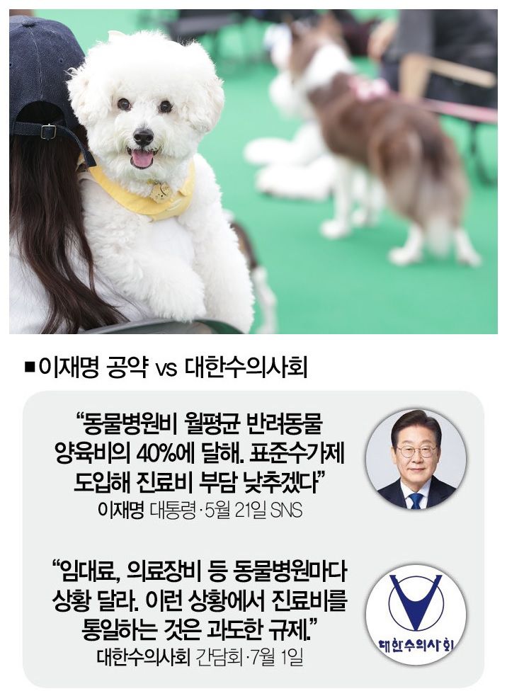 [사진 | 연합뉴스]