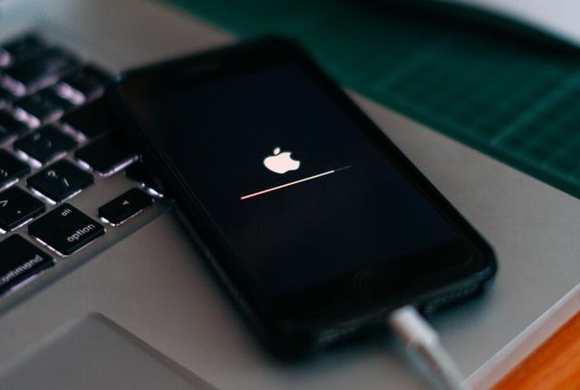 ⓒ Szabo Viktor / Unsplash