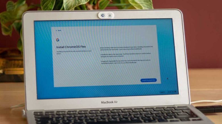 ⓒAdrian Sobolewski-Kiwerski / Foundry