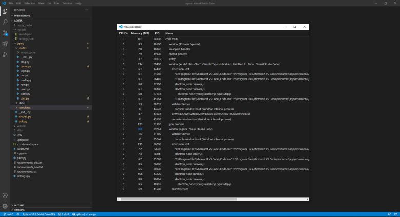 VS 코드의 프로세스 탐색기에서 애플리케이션의 확장 프로그램을 포함해 실행 중인 모든 프로세스를 볼 수 있다. ⓒ Foundry