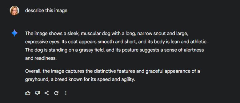 DG / Ashley Biancuzzo