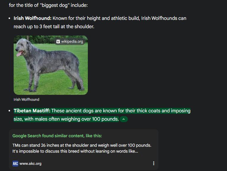 IDG / Ashley Biancuzzo