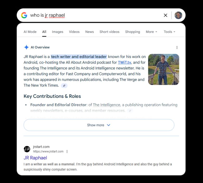 기본적으로 구글 윈도우 앱은 일반 웹 검색 결과를 표시하며, 이 가운데 상당수는 AI 오버뷰를 포함한다.JR Raphael, Foundry