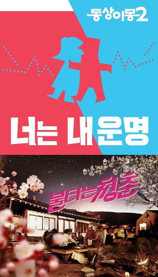 '동상이몽2' '불타는 청춘' 로고./사진제공=SBS