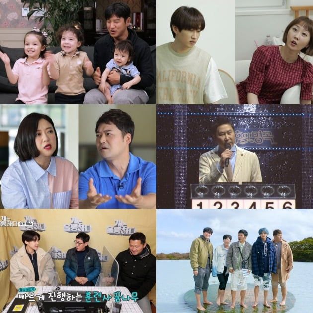 2021 KBS 연예대상 올해의 프로그램상 후보작/ 사진=KBS 제공