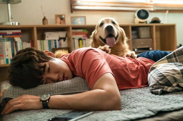 /사진=영화 '멍뭉이' 유연석 스틸