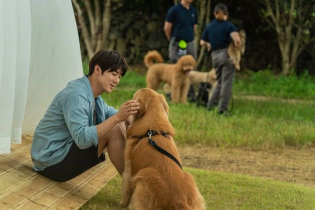 /사진=영화 '멍뭉이' 유연석 스틸