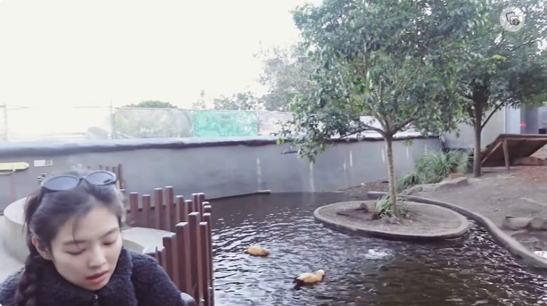 /사진 = 제니 유튜브