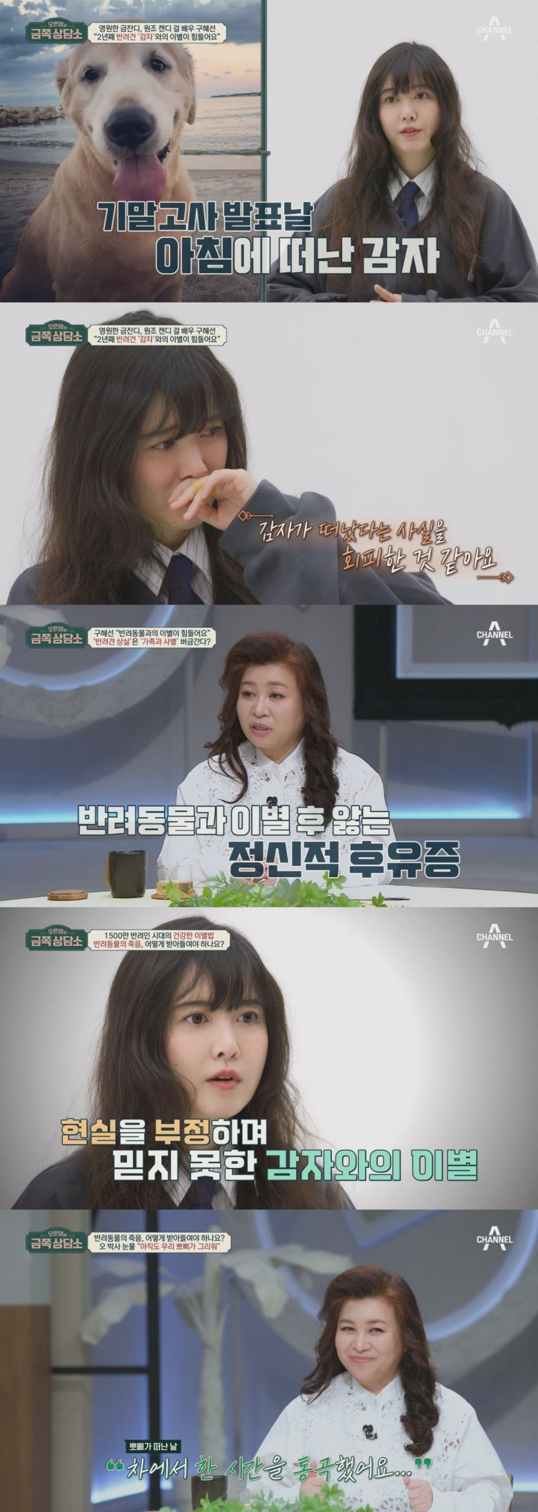 사진제공=채널A '오은영의 금쪽 상담소'