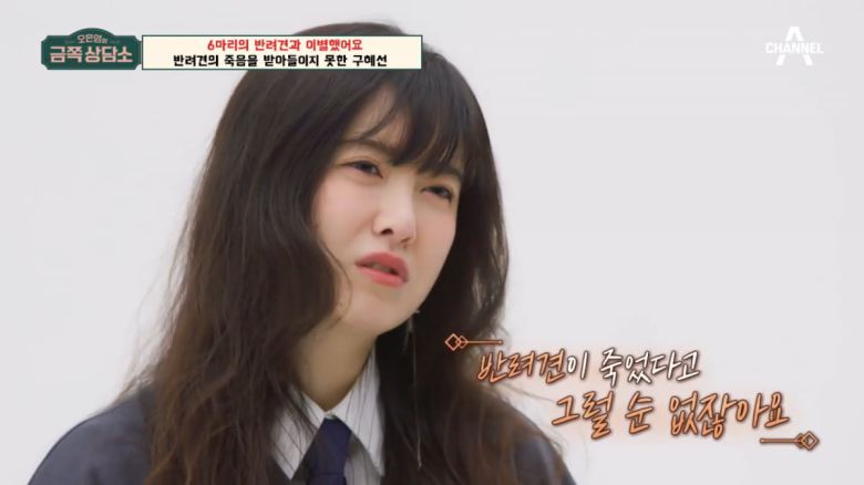 / 사진=채널A '금쪽상담소'