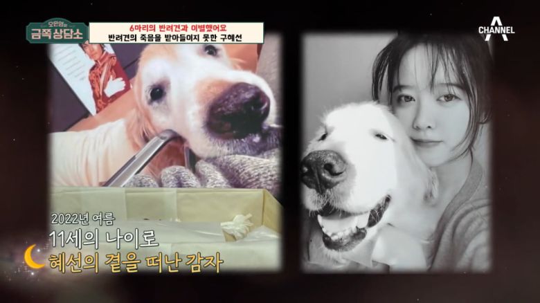 / 사진=채널A '금쪽상담소'