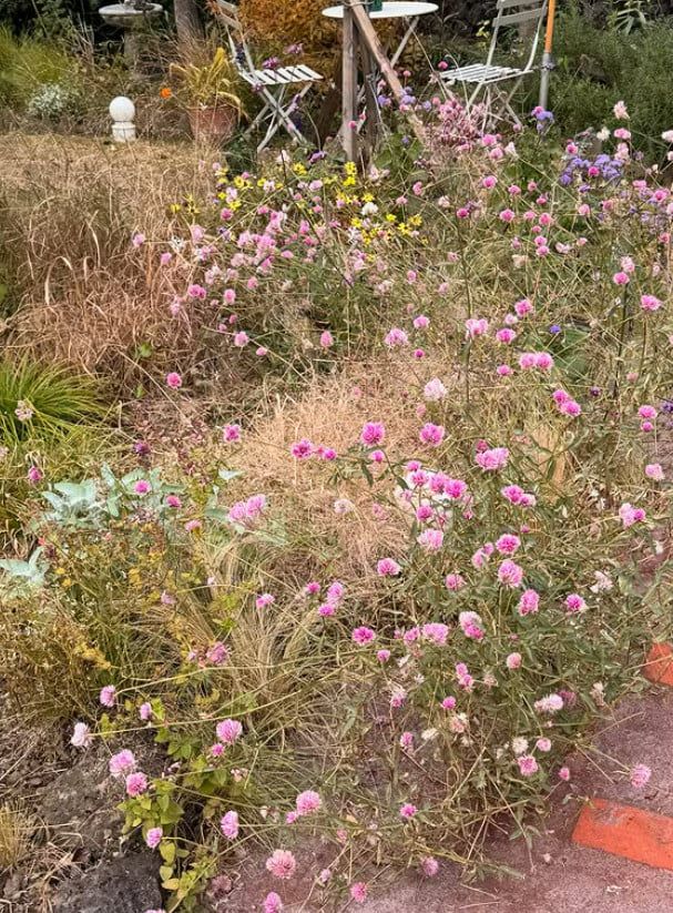 사진=박지윤 SNS