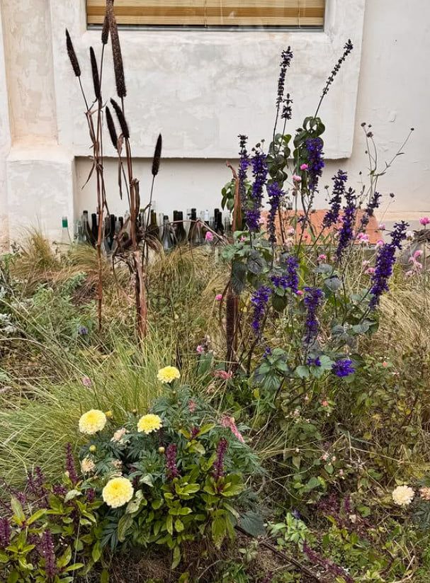 사진=박지윤 SNS