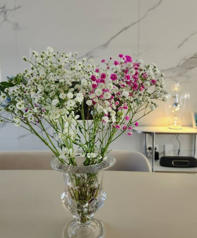 사진=최동석 SNS