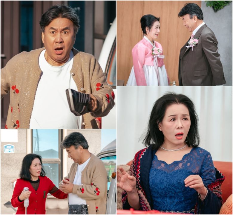 사진 제공 : 스튜디오 플럼