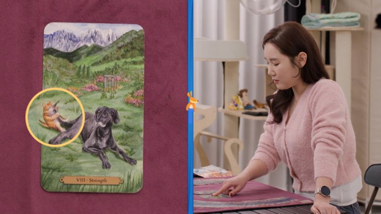 /사진 = '다 컸는데 안 나가요'