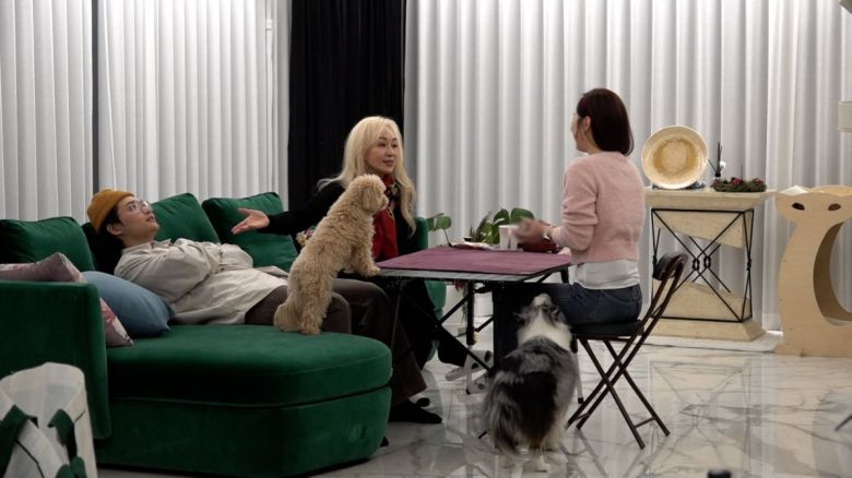 /사진 = '다 컸는데 안 나가요'