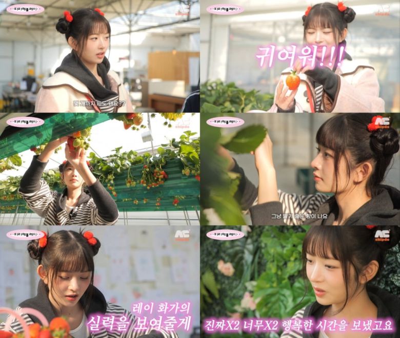 사진 = 유튜브 채널 '따라해볼레이 by 섭씨쉽도' 영상 캡처