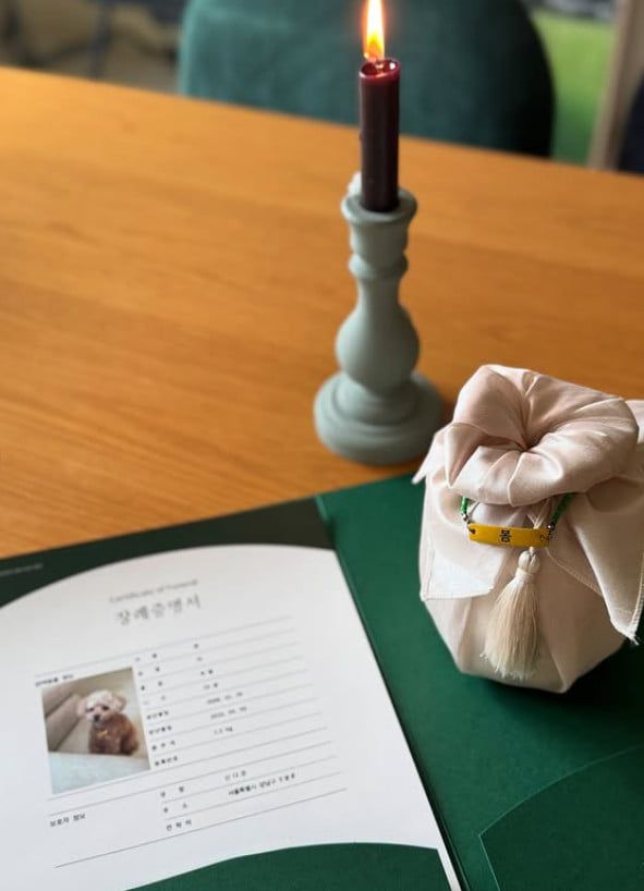 사진=신다은 SNS