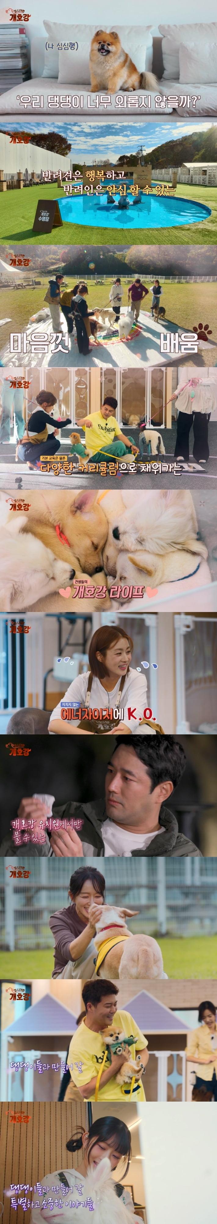 사진 제공 = JTBC '집 나가면 개호강'