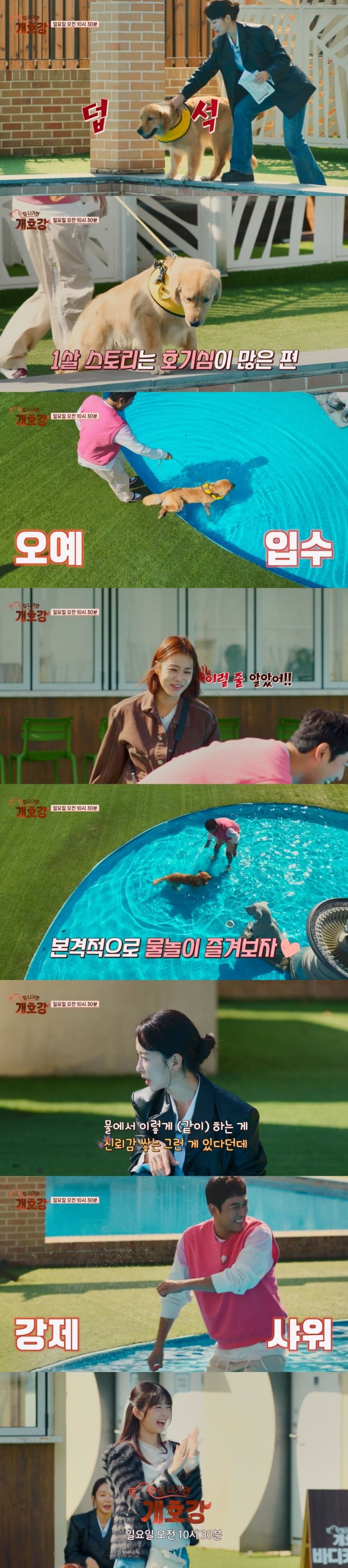 사진 제공 = JTBC '집 나가면 개호강'