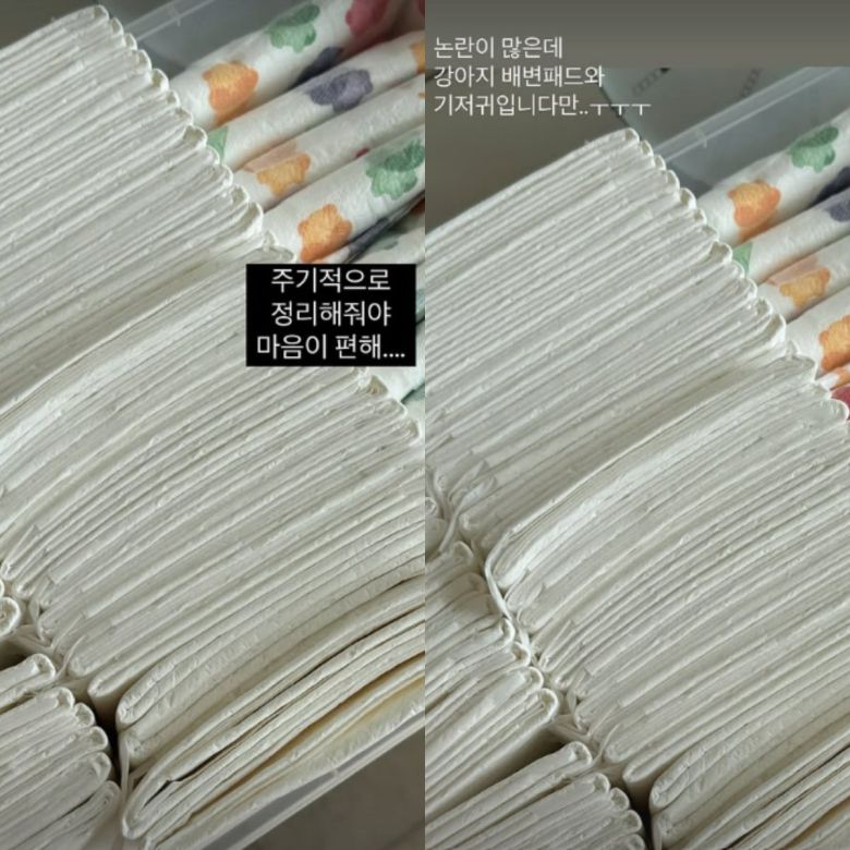 사진=이솔이 SNS