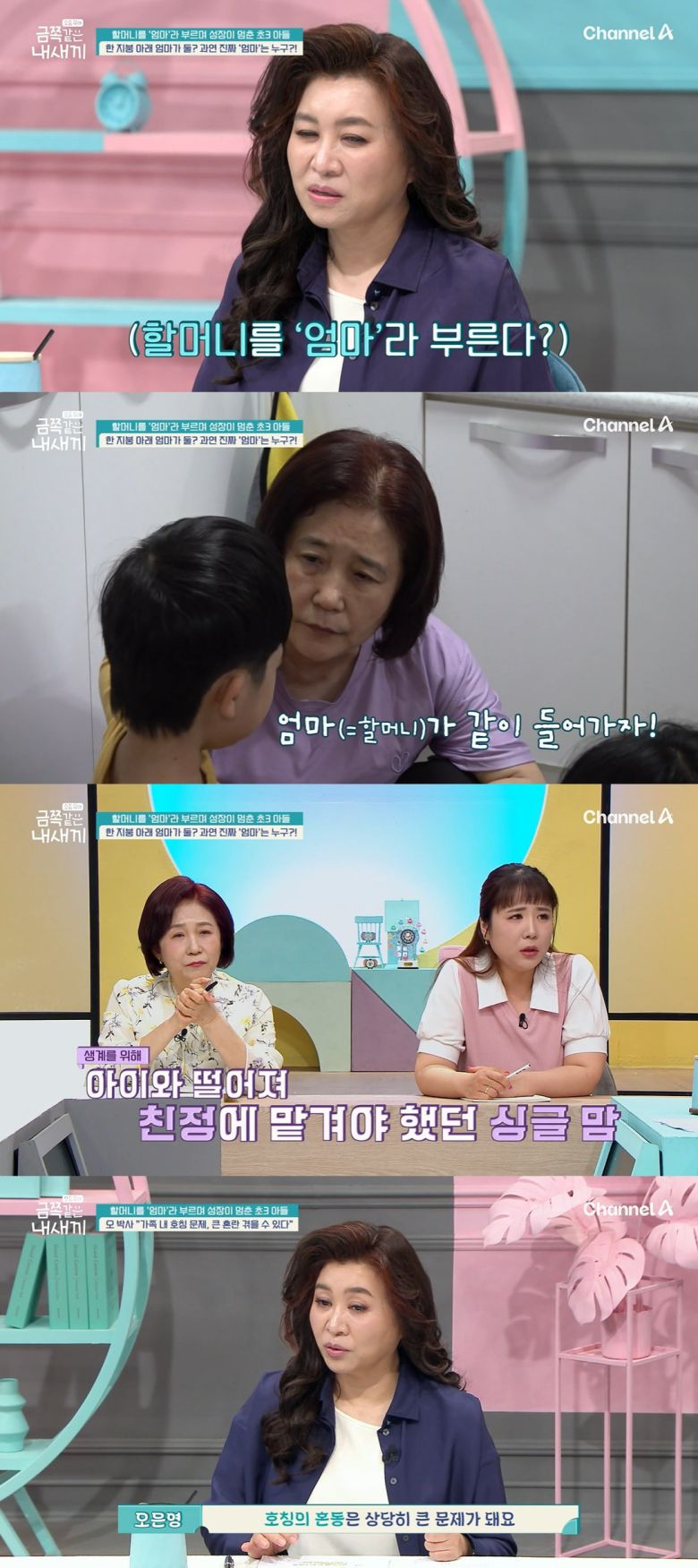 채널A '요즘 육아 – 금쪽같은 내새끼'