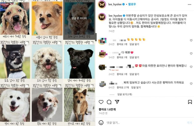 사진=이효리 SNS