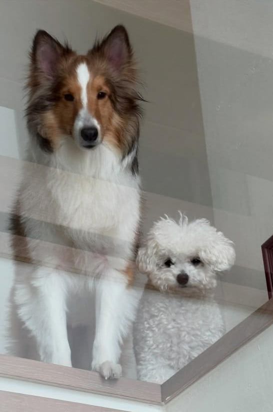 사진=정동원 SNS