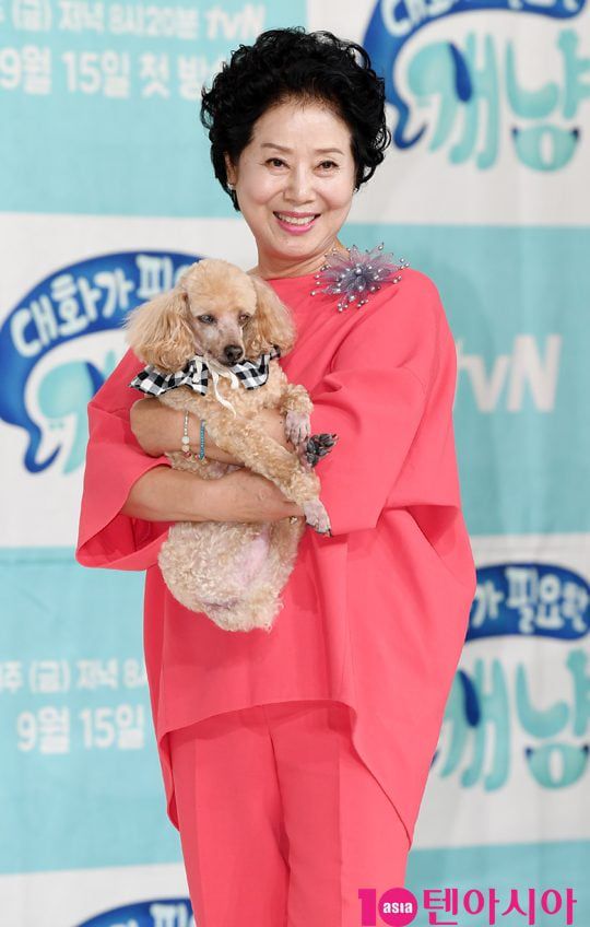 / 사진=텐아시아DB