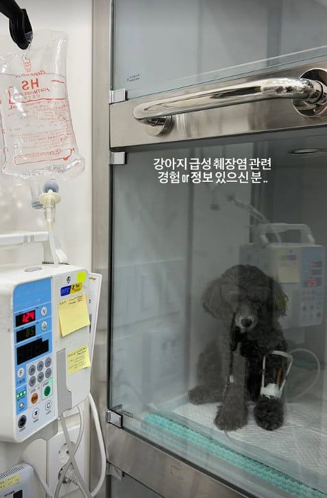 사진=김다영 SNS