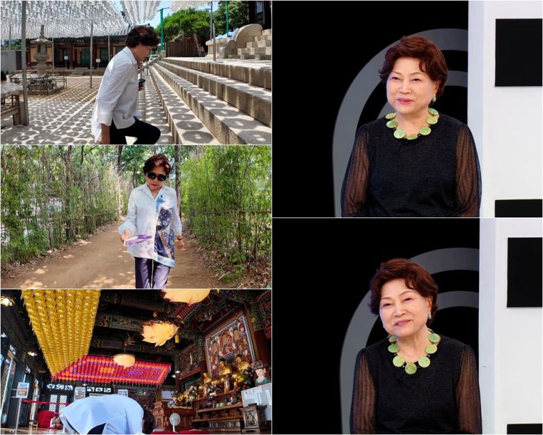 / 사진=TV CHOSUN <퍼펙트 라이프>